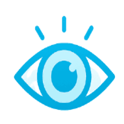 Eye icon representing vision
